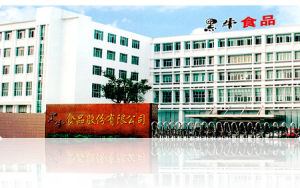 黑牛食品股份有限公司