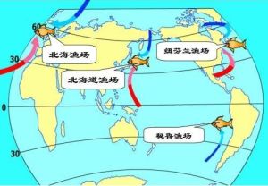 四大漁場 四大漁場