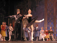 俄羅斯國家芭蕾舞團天鵝湖