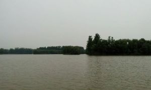 宋江湖