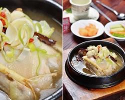 棗仁燉仔雞 棗仁燉仔雞