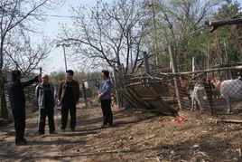 朝鳳庵村 朝鳳庵村