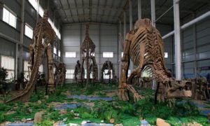 諸城市白堊紀恐龍地質公園 諸城市白堊紀恐龍地質公園