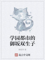 學園都市的御坂雙生子