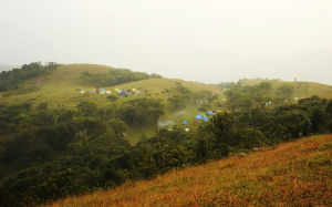 十二楞頂 十二楞頂