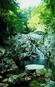 玉皇山國家森林公園