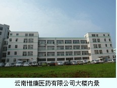 雲南惟康醫藥有限公司