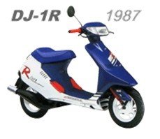 DJ1R