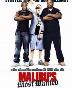 《馬利布綁票案》