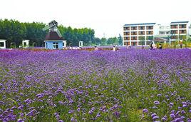 媽媽農莊 媽媽農莊