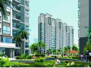 椰風水漾人家 椰風水漾人家