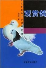 《觀賞鴿》 《觀賞鴿》