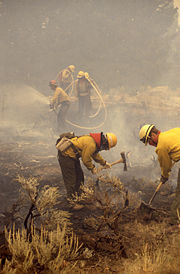 1988年黃石公園大火