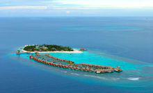 珊瑚島歡迎大家欣賞。