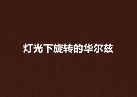 燈光下旋轉的華爾茲 燈光下旋轉的華爾茲