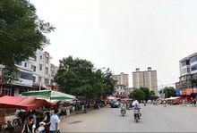 姚莊村[甘肅省天水市甘谷縣新興鎮下轄村]