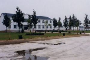 古雲中心鎮 古雲中心鎮