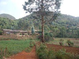 小紅地村[雲南省昆明市盤龍區松華鄉下轄村]