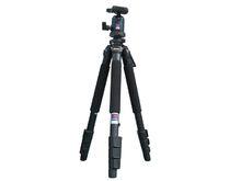 百諾[百諾公司]