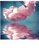 我的小可愛老婆 我的小可愛老婆