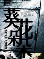 《葵花朵朵》 《葵花朵朵》