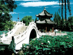 古蓮花池 古蓮花池