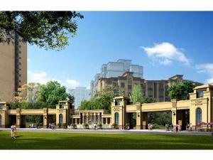 金港上品 金港上品