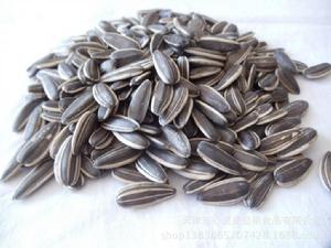 烘炒食品 烘炒食品