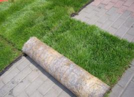 無土草皮 無土草皮