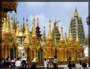 仰光大金寺