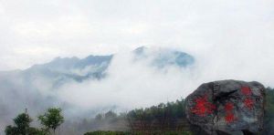 西岩茶鄉 西岩茶鄉