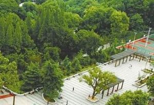 梅園街道 梅園街道