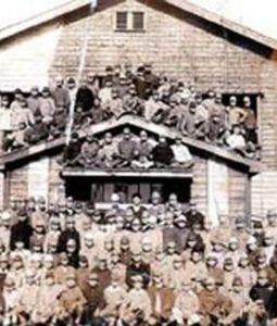 綠的海平線 綠的海平線