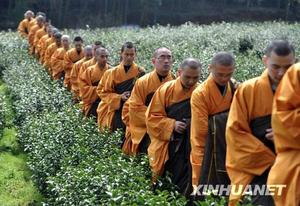 列隊進入茶園的僧人們