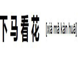 下馬看花 下馬看花