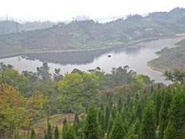 龍居山公墓 龍居山公墓