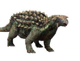 漂泊甲龍 漂泊甲龍