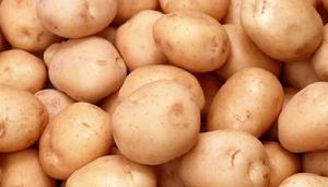 阿加布里亞特自治區