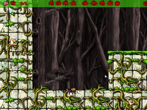 小蜘蛛的生活 小蜘蛛的生活