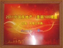 中國美麗的100樓盤