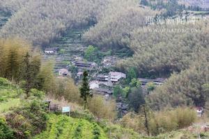 坑源村[浙江省溫州市甌海區澤雅鎮下轄村]