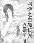 網遊之白痴傳說 網遊之白痴傳說