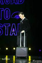 楊帥[與舞蹈家金星師出同門]