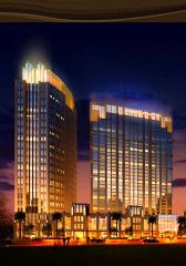 坎城灣金棕櫚 坎城灣金棕櫚