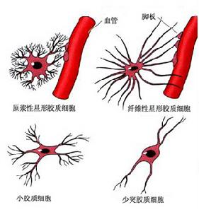 單克隆丙種球蛋白病伴周圍神經病