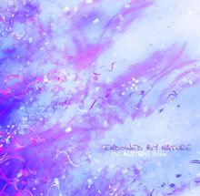 《自然的賦予》封面