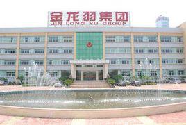 金龍羽集團有限公司 金龍羽集團有限公司