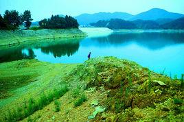 楚松水庫 楚松水庫