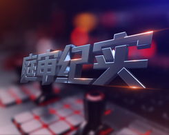 庭審紀實 庭審紀實