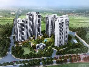 星譽花園 星譽花園